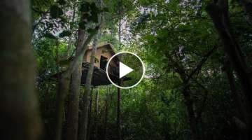 Incredible Build! Amazing Survival Tree House built in Tropical Rain Forest by Ancient Skills