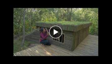 I Build The Most Amazing Dugout Underground Basement Shelter