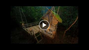 I Build The Most Beautiful Bamboo House in The Wood, Girl Solo Bushcrafts 2022