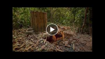 Building The Most Secret Underground Bamboo House under water well