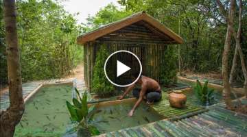 Build The Most Amazing Bamboo Cabin Villa with thousands Fishes Pond Over Secret Basement Tunnel
